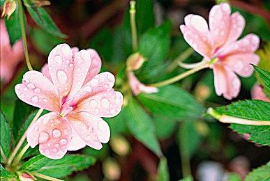 【游戏创作大赛 有手就能拿奖金】Y3编辑器游戏创作大赛正式开启！